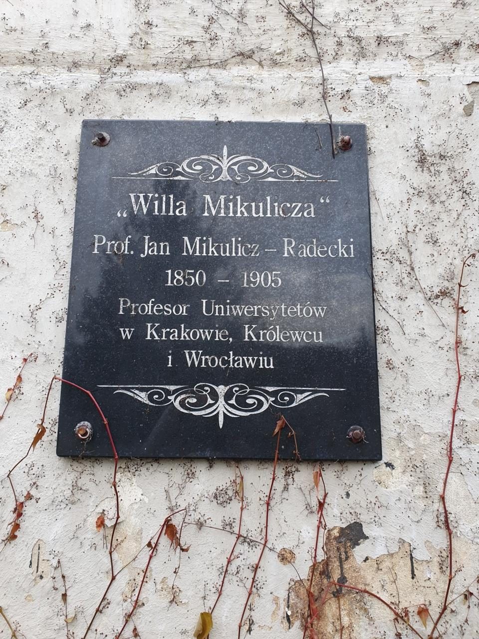 Willa Mikulicza by Magdalena Mazurak - 06b.jpg